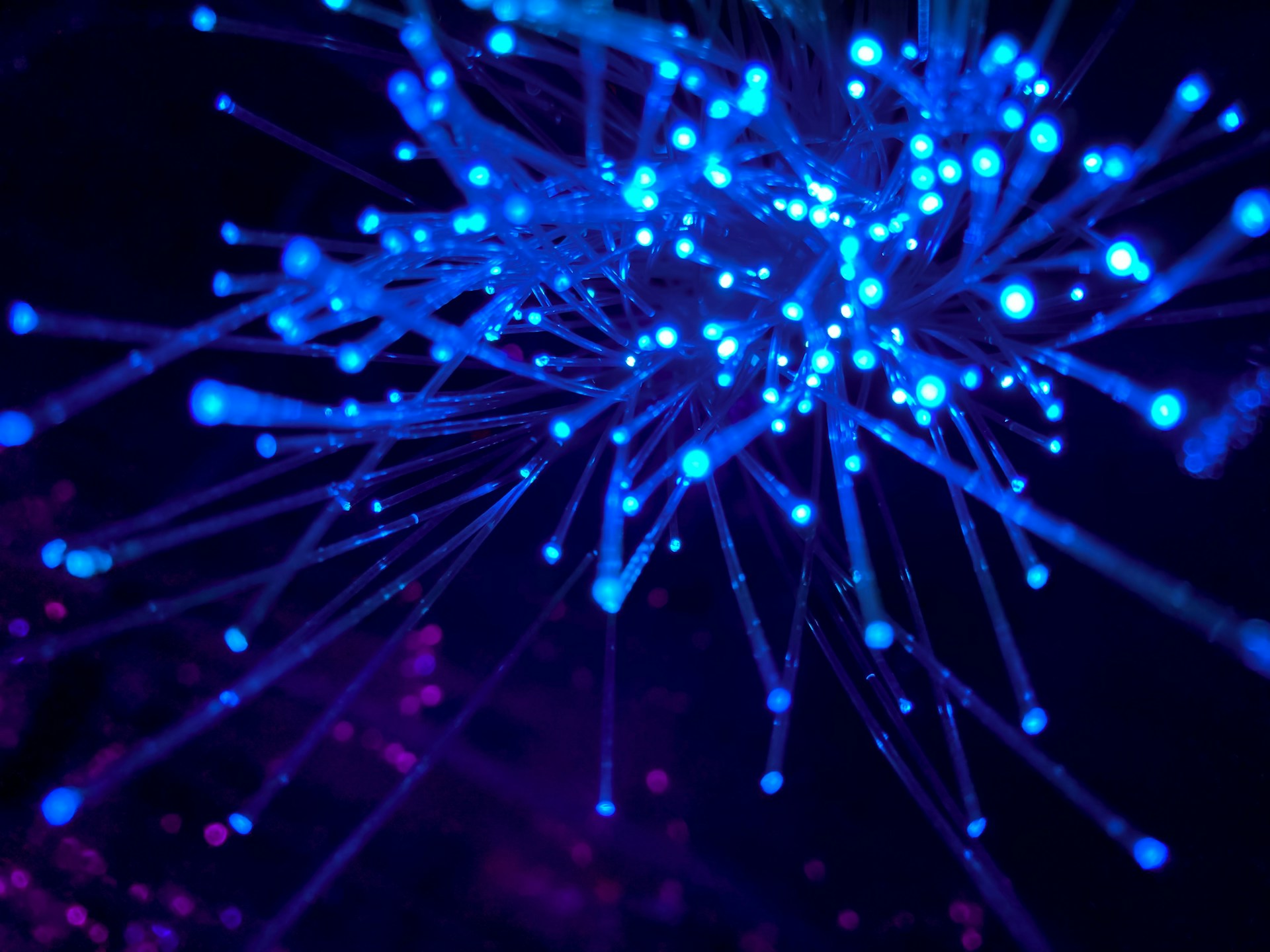 WinMTR: A Convenient Tool for Network Diagnostics